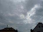 Třibřichy